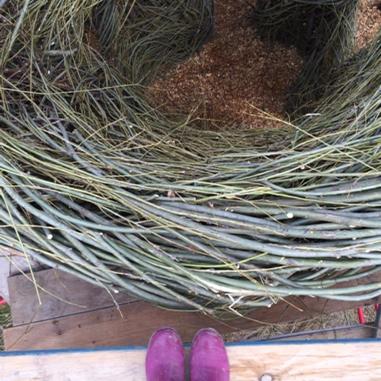 morrisarboretum's tweet image. Great pic! RT @turq_autumn Just building some scaffolding at @morrisarboretum. #stickwork #patrickdougherty