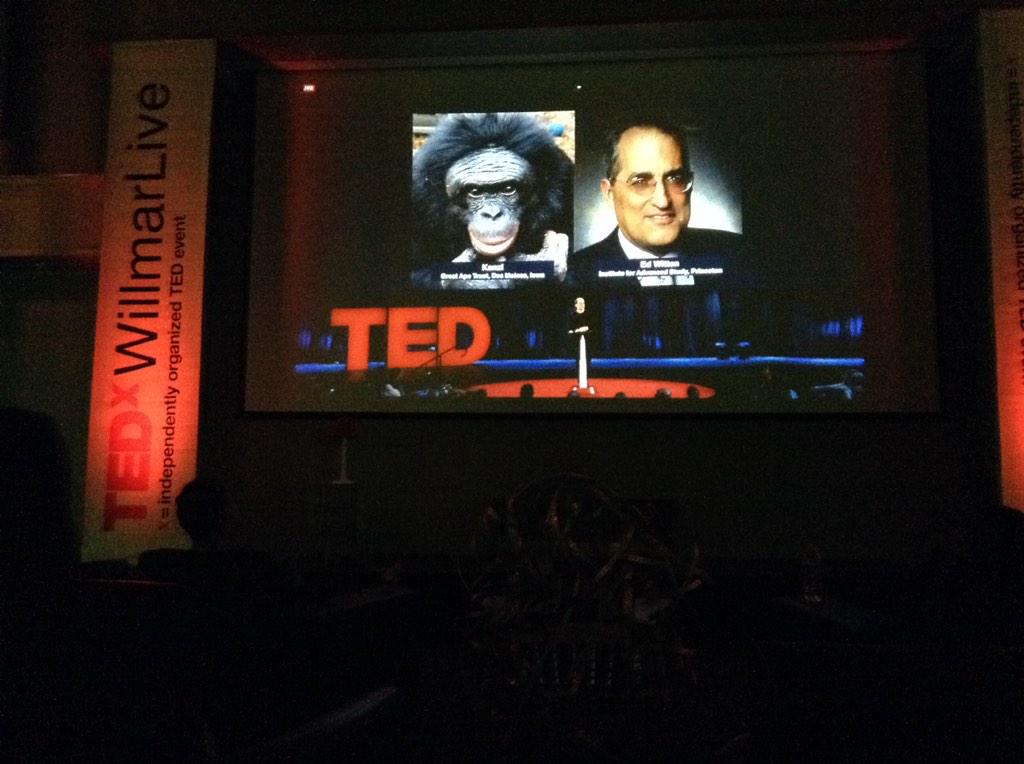 jannetwalsh's tweet photo. #TED2015 @TEDxWillmarLive @TEDx Nick Bostrom Philosopher Minor 
Man vs Ape. What's different? http://t.co/ValG1qjL8E
