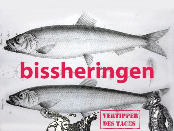 vertipperdtages's tweet photo. Vertipper des Tages: bissherigen (Danke, @TOLLABOX) http://t.co/uXrhG7sbS1 http://t.co/kDcUH1vkYp