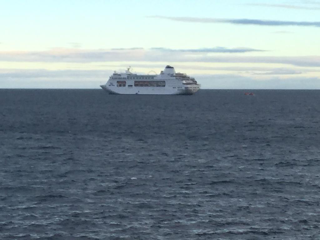 Janet_Mc_Neill's tweet photo. She's back #p&amp;o #mornington http://t.co/sZjWQzfKog