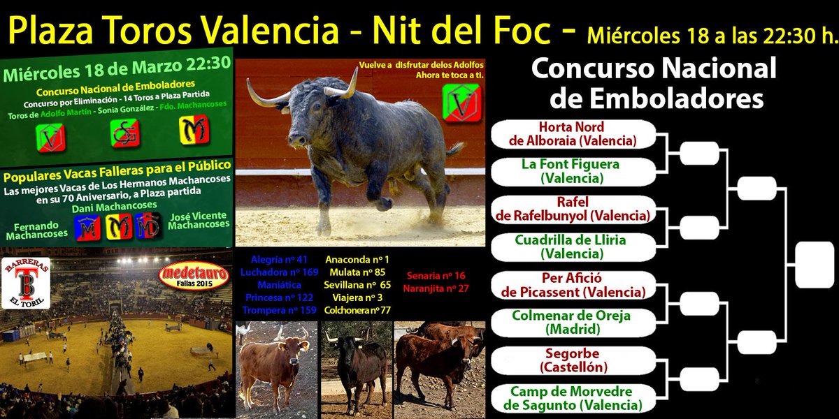 medetauro's tweet photo. FALLAS 2015 Nit del Foc DE @medetauro. Aquí se va a liar una buena @GDMachancoses @GDMachancoses @aadolfomartin http://t.co/ocuiIZYXXR