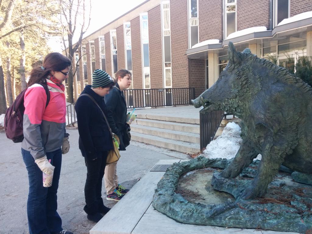 alsbobs's tweet photo. Chilling with the boar #WUdesign http://t.co/hAkM2oYG46