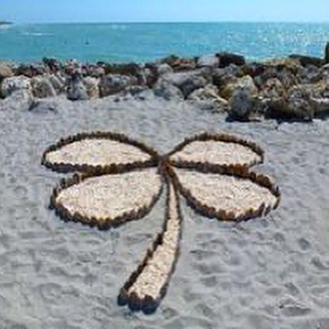 OceanViewBG tweet picture
