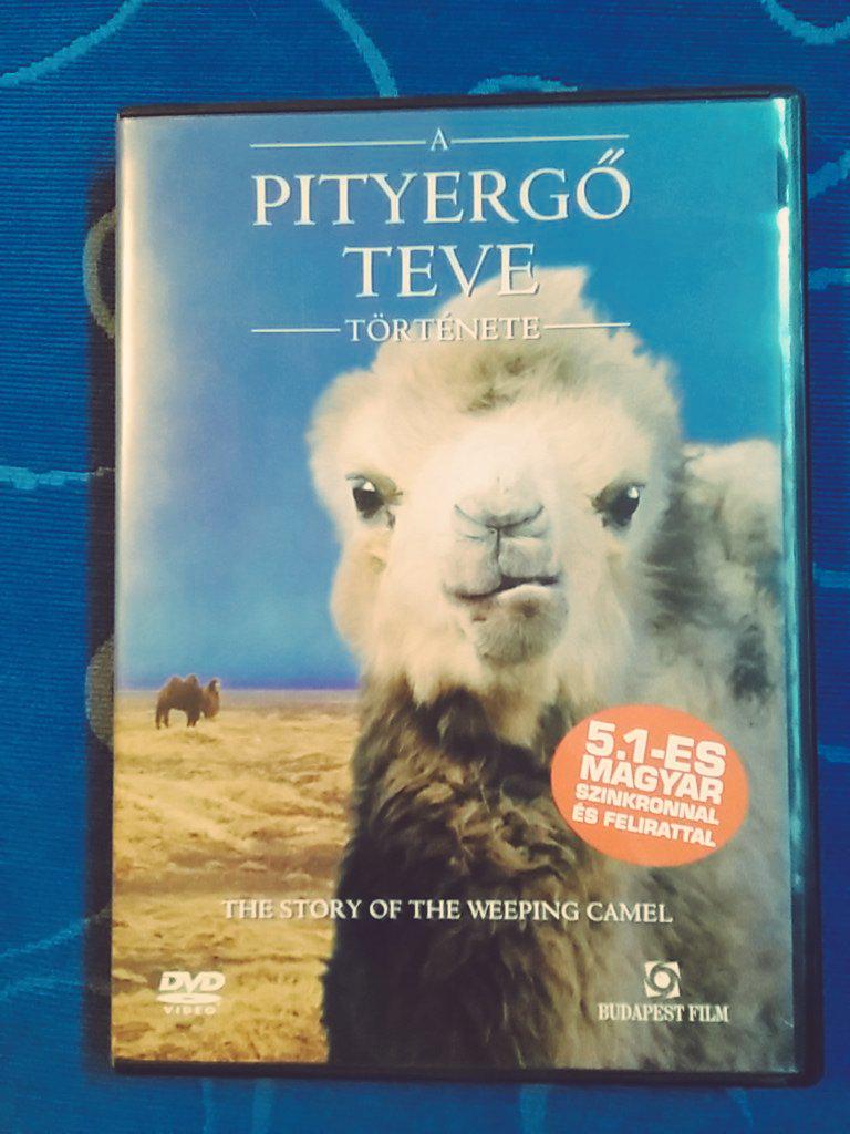 Ericcato88's tweet photo. Just found... one of the coolest looking movies ever! #MagyarTeve #HungarianDVD #85minutesofpureWeepingCamel http://t.co/VXWnNHRRRs