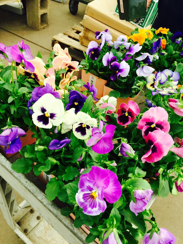 darcinicolee's tweet photo. Yay for sunshine and spring time! ☺️☺️ http://t.co/ivOMdoHJKY