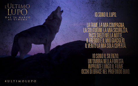 Giacinto_Bruno tweet picture