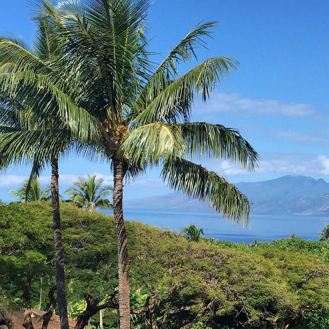 good morning from Paradise! #vacay #holidaze #clsphoto #mauibound #hawaii #roadtomaui