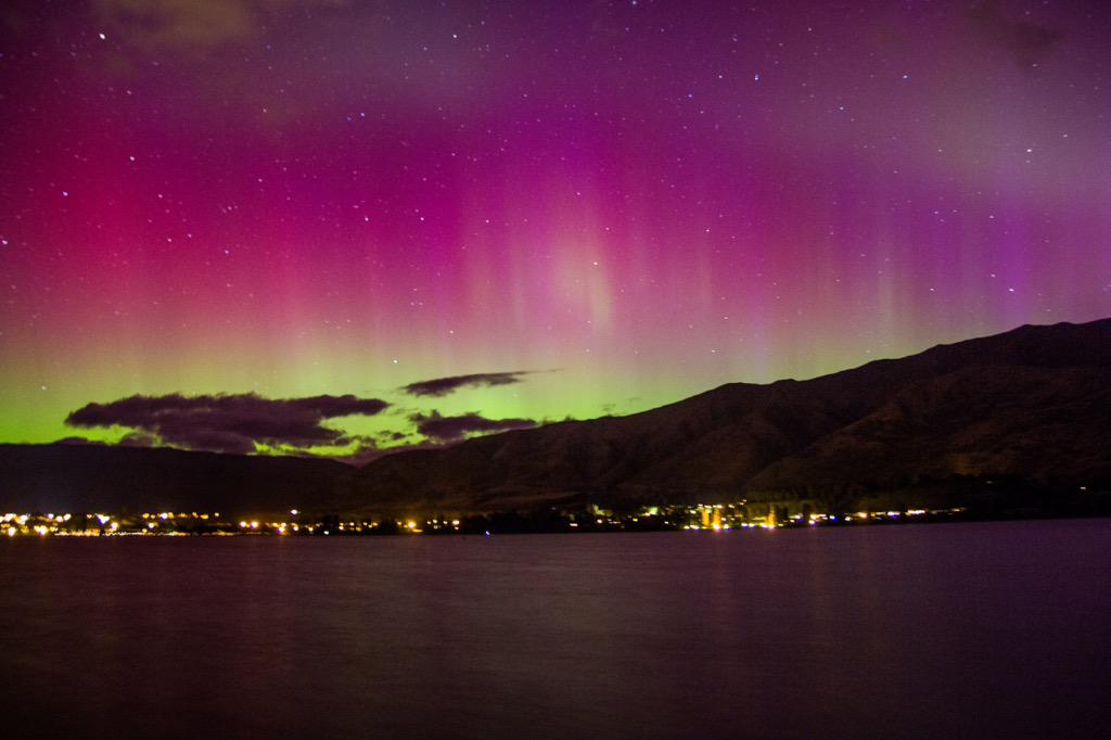 Liz Carlson tweet media