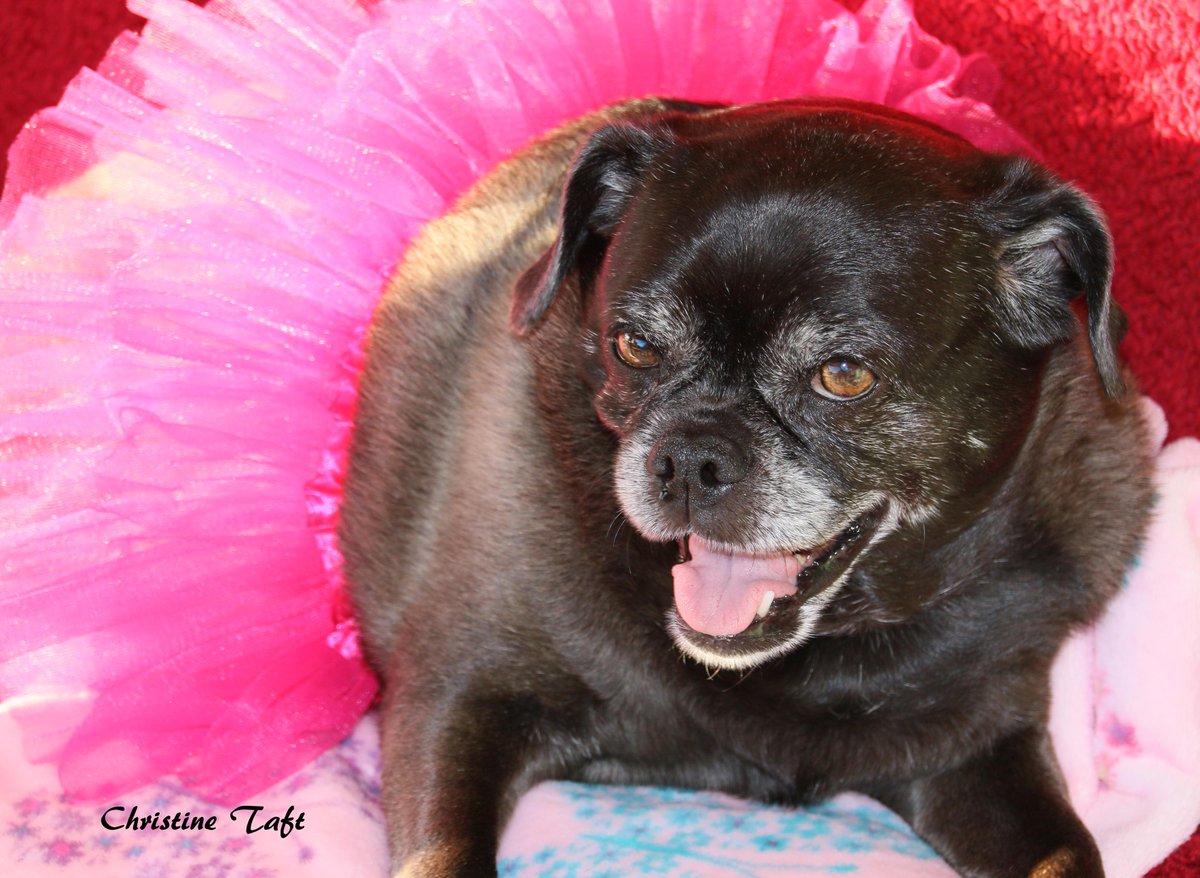 PerceptiveLens's tweet image. Love what you do!