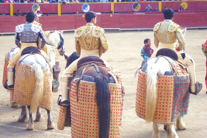 Jorge Alva tweet media