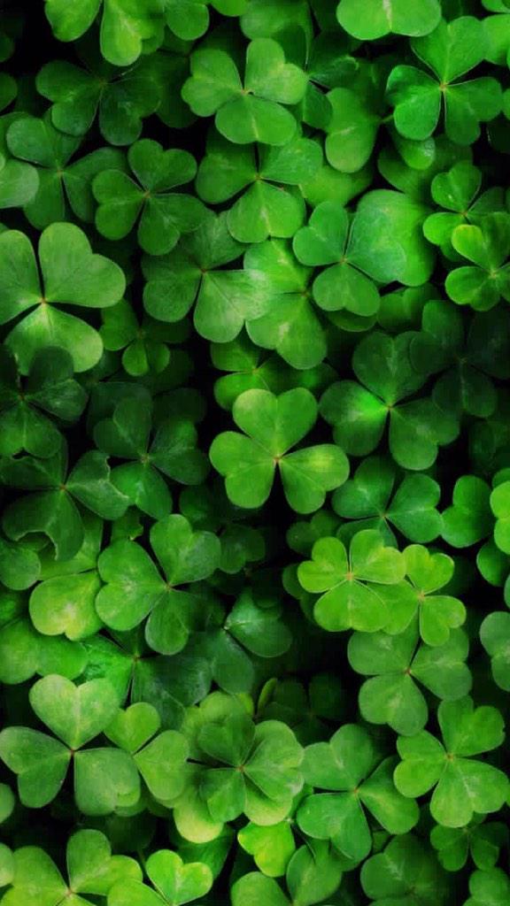 Arianas_problem's tweet image. Happy St Patrick's day everyone