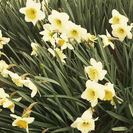 ILeslieCooper's tweet image. #CNNSpring