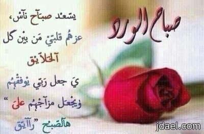 amera121251's tweet photo. .صباح الورد♡ http://t.co/NJYesC9ZR6