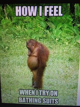 TonyStewart's tweet photo. Sorry, I just couldn't resist. Thought I was looking in the mirror 😝 http://t.co/VeQWE6eue5