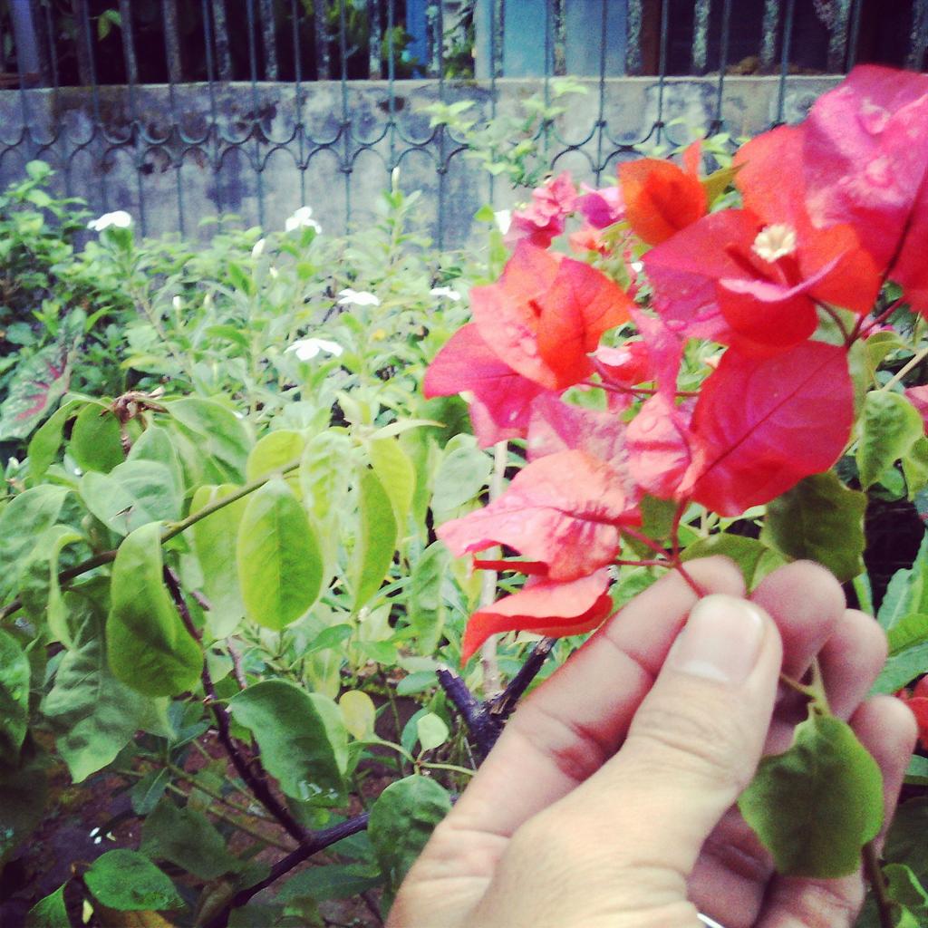 Kinod_ tweet picture