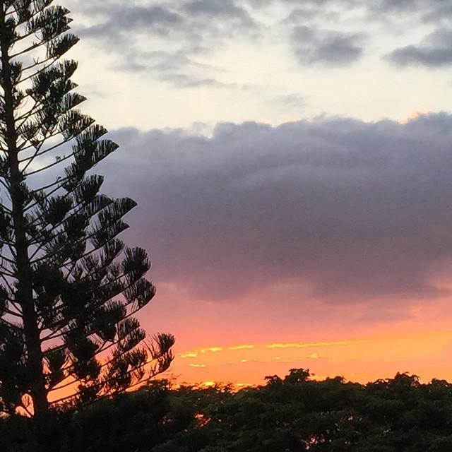 Sunset in 3, 2, 1 and 🌅 #clsphoto #holidaze #hawaii #vacay #mauibound #roadtomaui