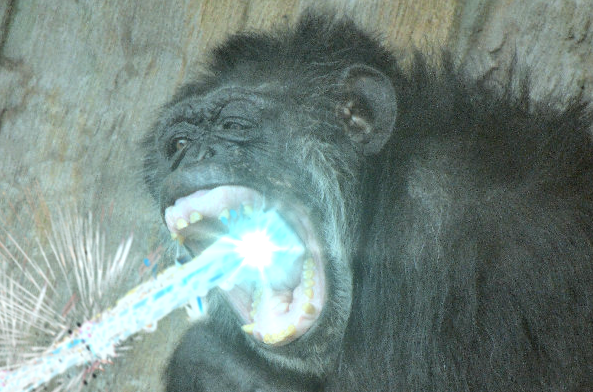 SITK_'s tweet image. #AllRange #火星チンパン