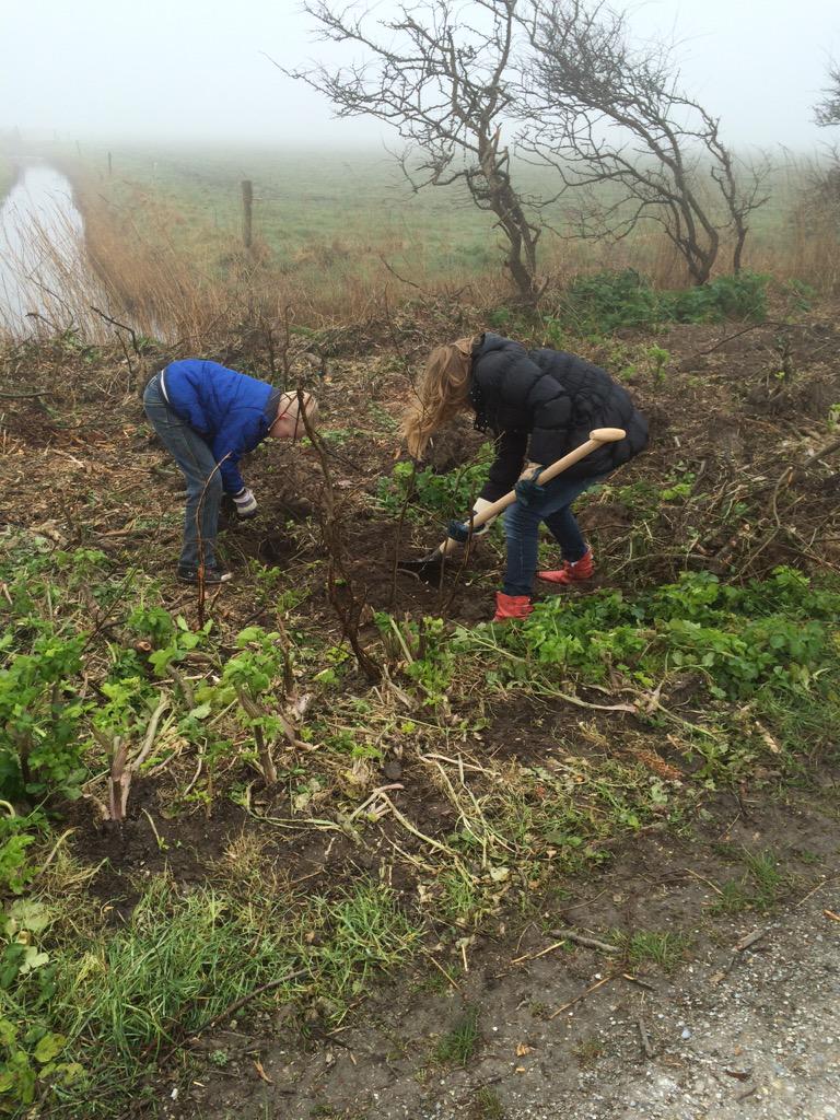 Kinderen van #obsdebruinvis hebben goed hun best gedaan #bomenplantdag #texel