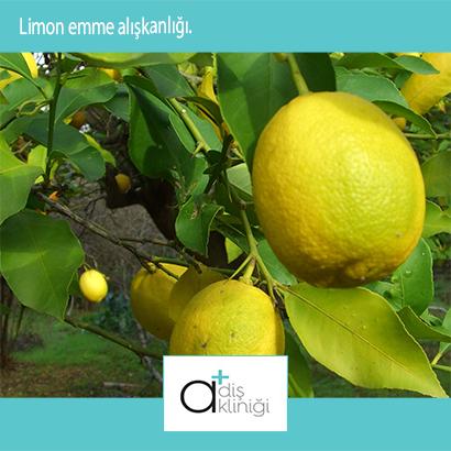 Düzenli olarak limon emmek,sitrik asit nedeniyle,diş arası minarellerine zarar verir. İç ve dış yüzeyleri aşındırır.