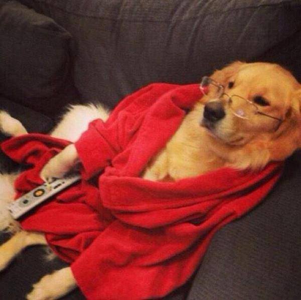 ComedyAIIDay's tweet photo. me right now http://t.co/8d4E5CvihR