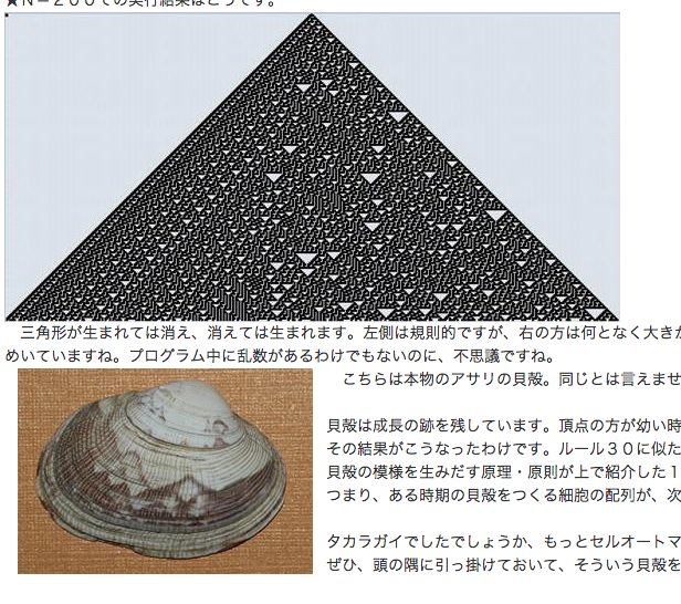 三土たつお アサリの模様はセルオートマトンぽいなーと思ったことがあって 検索したら同じことを考えてる人がいらした 画像は セルオートマトンとアサリの貝殻の模様 Http T Co Bruq0gd3kc より 実際の生成原理はどんなだろう Http T Co