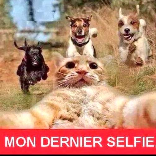 Anna27love Anna27love02 Twitter