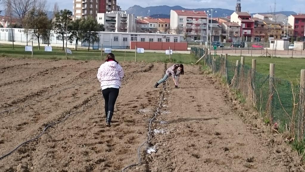 CasalsGracia's tweet photo. Els de 5è hen anat a plantar arbres a l'Arboretum. #saüc #salze #esqueixos http://t.co/LuXSQWBlmi