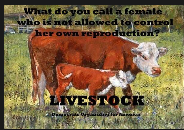 BabWarrior's tweet photo. #Farm365 #calving16 #calving2016 #dairygood #teamdairy #beef #veal #dairy #milk #foodie #foodchat #animalrights https://t.co/UpDfnBhXbk