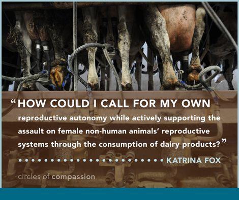 BabWarrior's tweet photo. #Farm365 #calving16 #calving2016 #dairygood #teamdairy #beef #veal #dairy #milk #foodie #foodchat #animalrights https://t.co/UpDfnBhXbk