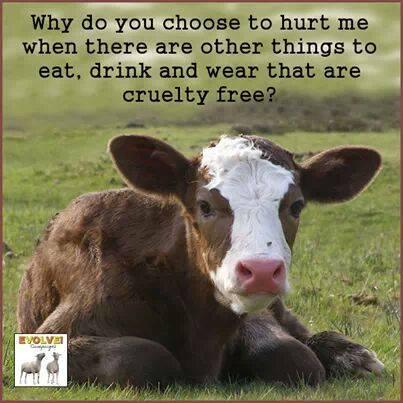 poppy_petal's tweet photo. #Farm365 #calving15 #calving2015 #dairygood #teamdairy #beef #veal #dairy #milk #welcomebacktomilk @dannycipriani87 http://t.co/2ZIqvLqsuh