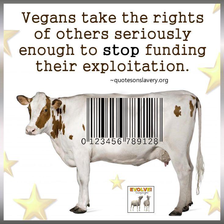 poppy_petal's tweet photo. #Farm365 #calving15 #calving2015 #dairygood #teamdairy #beef #veal #dairy #milk #welcomebacktomilk @dannycipriani87 http://t.co/2ZIqvLqsuh