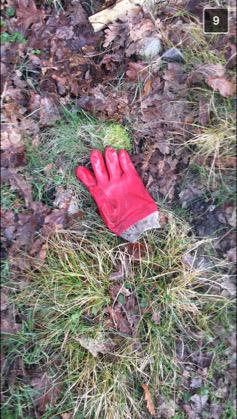 MsRiots's tweet image. @abandonedgloves glove from @vudumasterz #teamriots #stilllearningtwitter