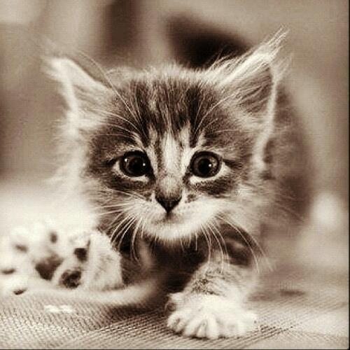 frontback111's tweet image. ⓖⓞⓞⓓ ⓜⓞⓡⓝⓘⓝⓖ ⓟⓔⓞⓟⓛⓔ ;)