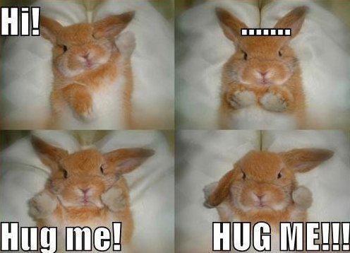 yourgirlbubble's tweet photo. Hugs for all #Bubble #ThisisBubble http://t.co/RjOYkZuzTR