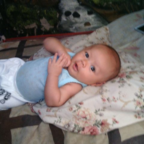 charissacaca's tweet photo. Anak bundha udah gede sekarang . Udah 2bulan aja .. http://t.co/EBX3OG3avG
