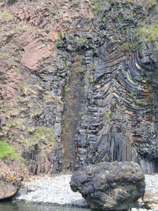 BritGeoSurvey's tweet photo. Fossil trees http://t.co/mcW6XrU5MX 310million years ago Scotland's Lowland was dense tropical rainforest #FossilFive http://t.co/8XJTyUmu4d