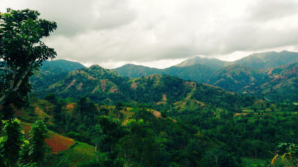 Projebull's tweet image. Ayiti peyi montay 
#jadennanmontay #HaitiExperienceit #konbitlakay #diriaklegim #syelkontreaklate #haititourism