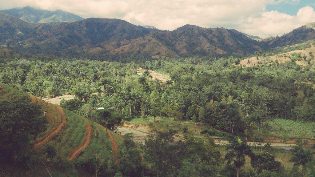 Projebull's tweet image. Ayiti peyi montay 
#jadennanmontay #HaitiExperienceit #konbitlakay #diriaklegim #syelkontreaklate #haititourism