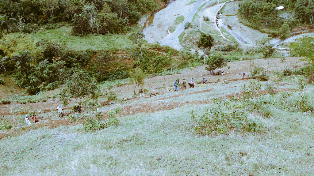 Projebull's tweet image. Ayiti peyi montay 
#jadennanmontay #HaitiExperienceit #konbitlakay #diriaklegim #syelkontreaklate #haititourism