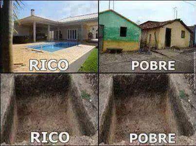 gatocomando tweet picture