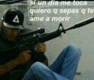 gatocomando tweet picture