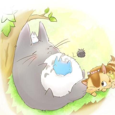 トトロ画像bot Totorogazousyuu Twitter