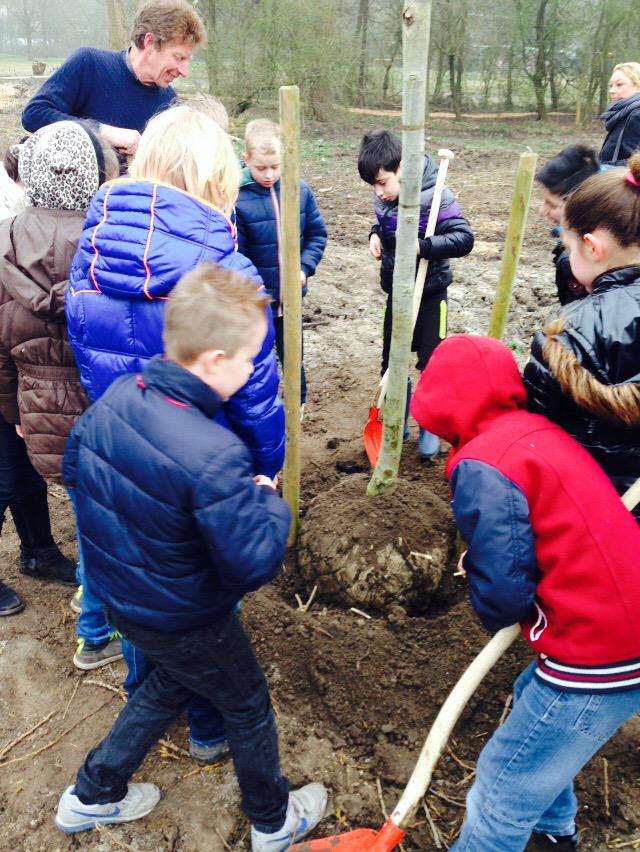 LeidingNoord's tweet photo. RT @MirjamTol: @LeidingNoord mooie notenbomen in #voedselbos #vlaardingen geplant tijdens #boomfeestdag met 120 kids http://t.co/HDIdWH747O