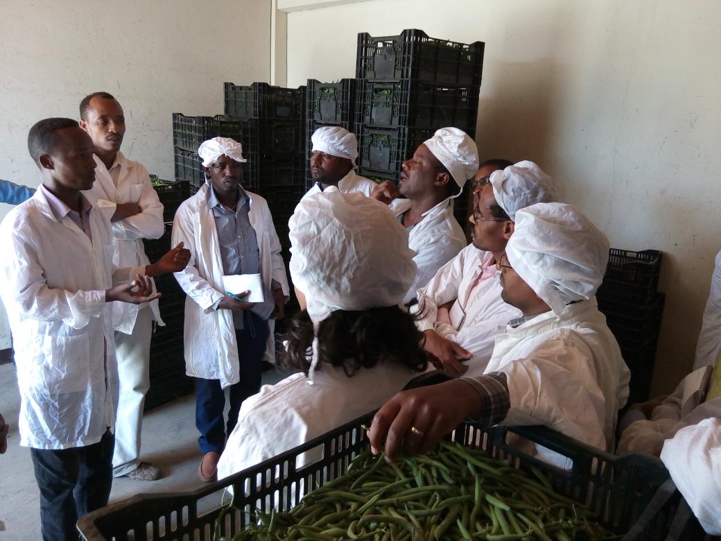 GHoltland's tweet photo. FSRE innovators learn from MekiBatu Union about contract farming.@fsenl @agriprofocus @FairSustainable @APF_Ethiopia http://t.co/g0r8470Bh2
