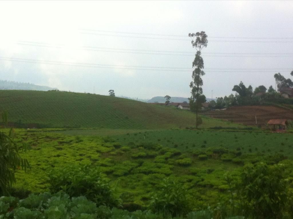 NazmaYulie's tweet photo. #dinginbanget http://t.co/pwavWj9jYn