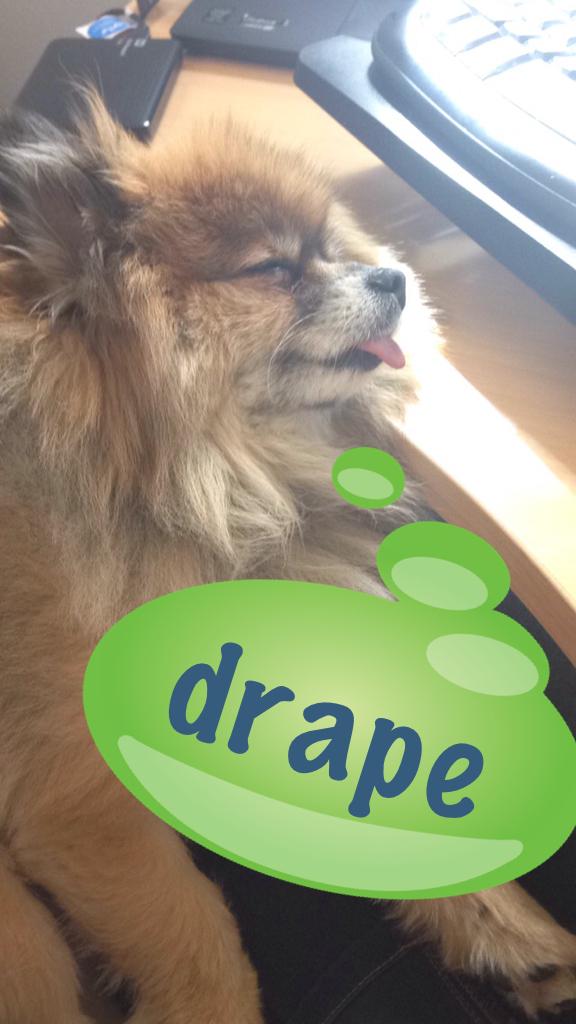 Word Wed w/ JoJo! Automatically drape imagery on TIN surface for quick 3D surface visualization with <a href="/SITEOPS/">SITEOPS</a>