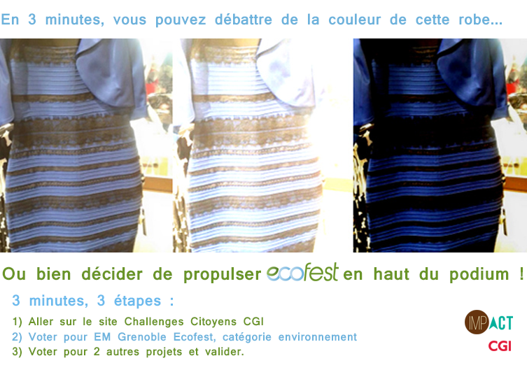 label_ecofest's tweet photo. J-3 avant la fin des votes #ChallengesCGI, soutenez-nous ! http://t.co/6U0sOyQNRt @Grenoble_EM @ImpactGEM http://t.co/jPkfqwpZ3z