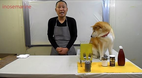 wldswd's tweet photo. 人気記事：【動画】柴犬に邪魔されながらのクッキングが面白い　http://t.co/WEoJgfxvKF http://t.co/Q4A2vARyaM