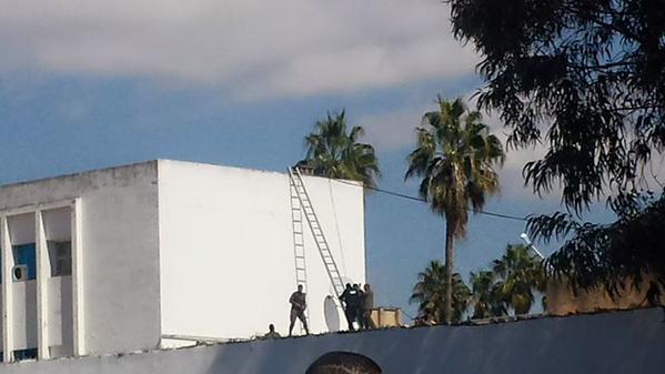 Voir l'image sur Twitter