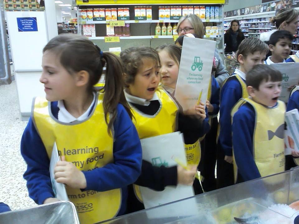 Judith Cullen tweet media